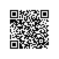 火花直讀光譜儀應(yīng)用報(bào)告影響鑄鐵樣品分析結(jié)果因素經(jīng)驗(yàn)總結(jié)