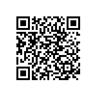 手持光譜儀xSORT在模具鋼行業(yè)應用