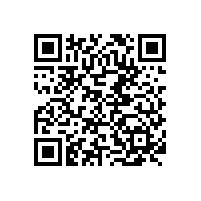 SPECTRO TEST-便攜式光譜分析儀