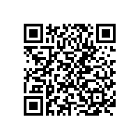 斯派克手持式分析儀在模具加工上的應(yīng)用