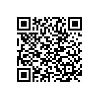 現(xiàn)代鋼鐵工業(yè)的元素分析—直讀光譜技術(shù)的優(yōu)勢(shì)