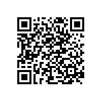 X熒光光譜儀在高爐生鐵快速分析中的應(yīng)用