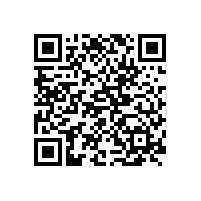 自動化快速分析技術(shù)
