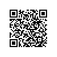 玻璃幕墻的安全性行業(yè)協(xié)會怎么看？