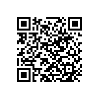 潮州玻璃幕墻工程-中東幕墻