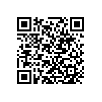 廣東玻璃幕墻專業(yè)定制廠家有哪些