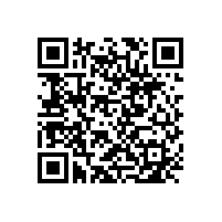 中東幕墻為你解說平安國際金融中心