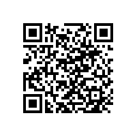 專業(yè)玻璃幕墻出口廠家