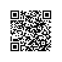 這樣的施工工藝樓宇的大特色—【玻璃幕墻】