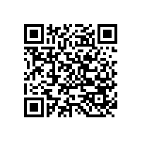 加工大豆的泡沫消除