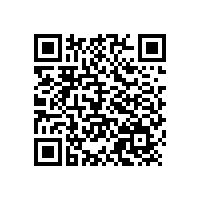國外揚(yáng)聲器及音箱的技術(shù)現(xiàn)狀