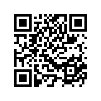 DANISH GEYER ELECTRONIC