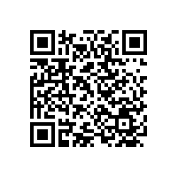 倉庫叉車的選擇