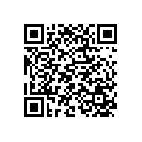 電動搬運車市場國內(nèi)與國外市場比較