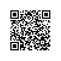 到底電動(dòng)叉車限速器好還是熄火裝置好