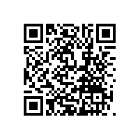 電動(dòng)小叉車(chē)性能評(píng)估標(biāo)準(zhǔn)