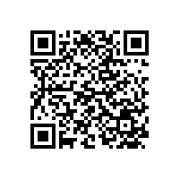 景區(qū)內(nèi)燃觀光車使用年限