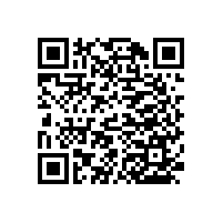 3個點固定的老年公寓衛(wèi)生間扶手-穩(wěn)固