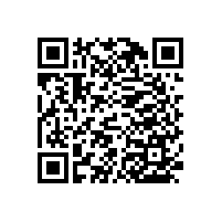 50公分長浴缸扶手,使用率高，實(shí)用性強(qiáng)