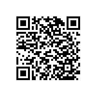 安全的—老年衛(wèi)生間坐便器扶手【藍(lán)品盾】