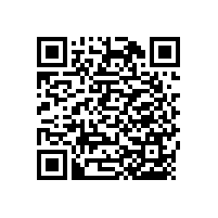 南昌-衛(wèi)生間浴室扶手的款式【藍(lán)品盾】