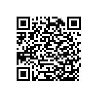 幼兒園衛(wèi)生間殘疾人扶手---藍品盾