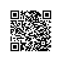 安裝老年衛(wèi)生間坐便器扶手簡間耐看【藍(lán)品盾】