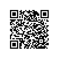 安裝馬蹄式衛(wèi)生間老人安全扶手打造舒適的衛(wèi)生間【藍(lán)品盾】