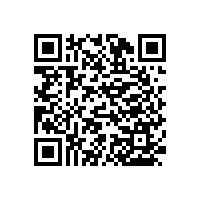 安裝尼龍無障礙衛(wèi)生間扶手打造精致的衛(wèi)浴空間【藍(lán)品盾】