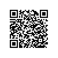 安裝衛(wèi)生間安全扶手“避免危險事故”【藍(lán)品盾】