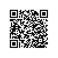 安裝衛(wèi)生間裝安全扶手“避免沒必要的危險”【藍品盾】