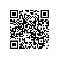 安裝無(wú)障礙殘疾人衛(wèi)生間扶手有多少款式？【藍(lán)品盾】