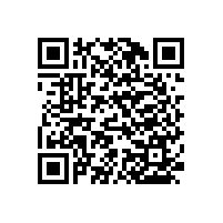 安裝&專(zhuān)用醫(yī)用扶手廠(chǎng)家-藍(lán)品盾