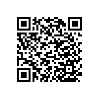 北京無障礙扶手哪有賣的【藍品盾】