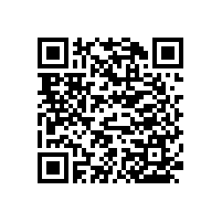 不銹鋼馬桶扶手-看看客戶選擇的哪幾款？