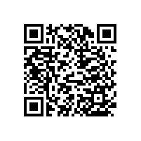 不銹鋼衛(wèi)生間扶手，安全如廁的好幫手