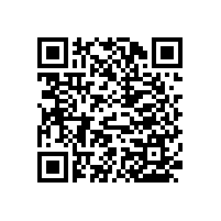 不銹鋼衛(wèi)生間扶手浴室防滑小竅門【藍品盾】