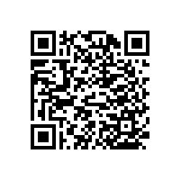 不銹鋼衛(wèi)生間門拉手-材質(zhì)細(xì)膩款式簡約【藍(lán)品盾】