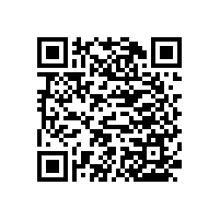 不銹鋼浴室扶手-便利牢靠【藍(lán)品盾】