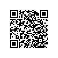 【成都】衛(wèi)生間扶手,廠家直銷的更實惠