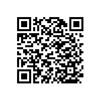 【成都】衛(wèi)浴扶手，藍(lán)品盾廠家實(shí)惠選購