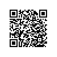 【常規(guī)款式推薦】醫(yī)院過道扶手廠家-藍品盾