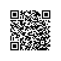 殘疾廁所扶手帶彎鉤簡約的設計【藍品盾】