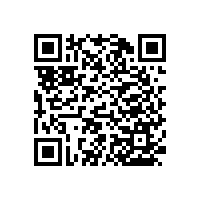 殘疾人廁所扶手-輕松使用【藍(lán)品盾】