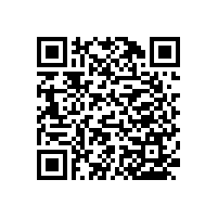 殘疾人蹲便器扶手材質(zhì)結(jié)實嗎？【藍品盾】