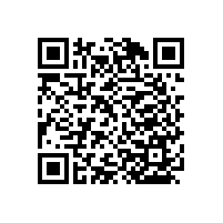 殘疾人蹲便衛(wèi)生間扶手款式簡約支持定制【藍品盾】