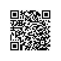 殘疾人扶手呼叫器【藍品盾】