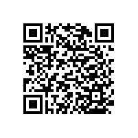 殘疾人淋浴扶手-帶呼喚器的款式有幾種【藍(lán)品盾】