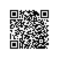 殘疾人馬桶衛(wèi)生間扶手細膩的材質手感舒適哦！【藍品盾】