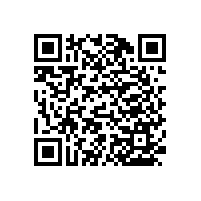 殘疾人上廁所的扶手可滿足狹小空間【藍(lán)品盾】